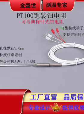 PT100铠装铂电阻进口芯片A级1/3B级精度可以弯曲φ3.0mm探针RTD