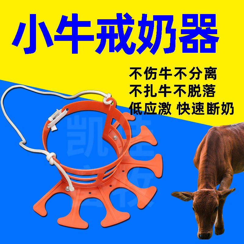 新款牛犊断奶神器圆形小牛牛犊
