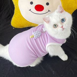 可牵引狗狗凉凉衣夏季薄款泰迪比熊小型幼犬猫咪宠物防晒衣服背心