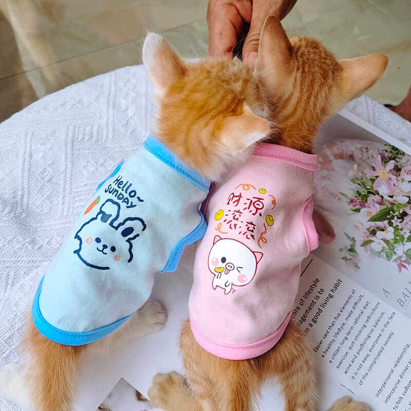 家居服春夏款幼犬迷你薄款博美小型犬空调服超小体狗狗衣服吉娃娃