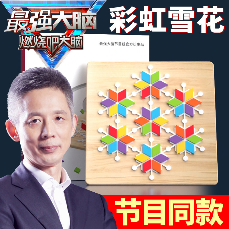 燃烧吧最强大脑彩虹雪花数独游戏儿童益智逻辑思维训练玩具6-10岁