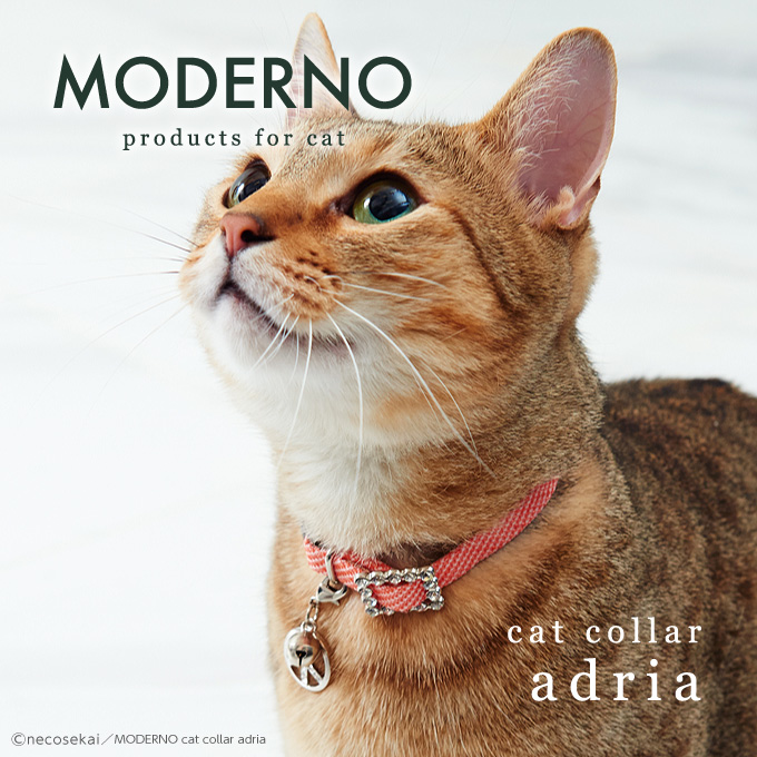 世界日本猫项圈/项链脖套款猫咪