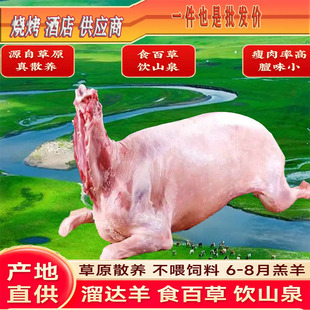 新鲜现宰内蒙羔羊烤全羊整只生羊白条10 40斤饭店烧烤店团建食材