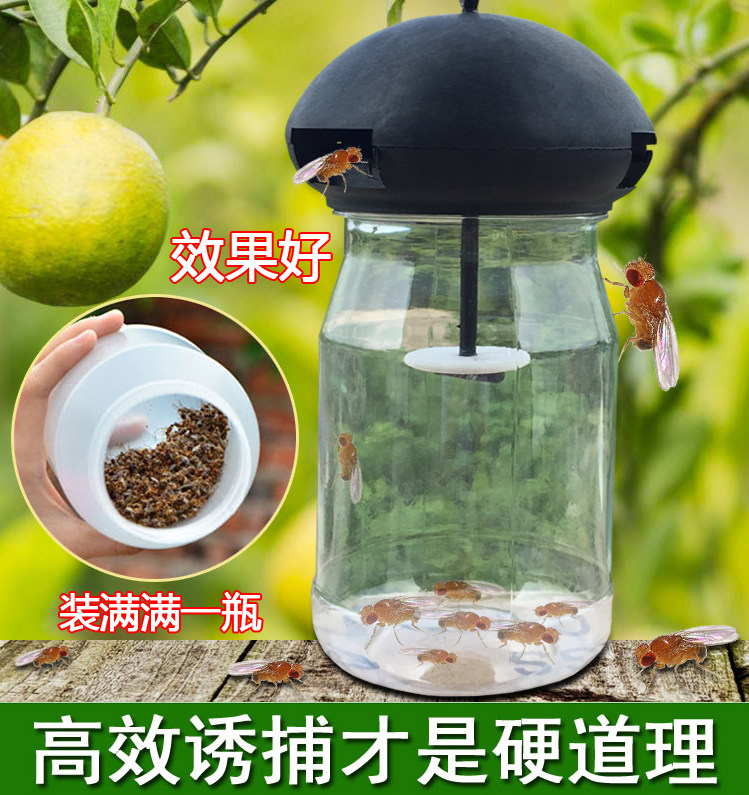 。果蝇诱捕器果蝇引诱剂药水植物园艺果园柑橘桔小实蝇针蜂粘板无|msdalam kategori penghantaran bunga/bunga simulasi/tumbuhan berkebun, Gardening Supplies, Peralatan Perkebunan lain - dari Buy2taobao.com untuk memberikan perkhidmatan ejen Taobao profesional membeli