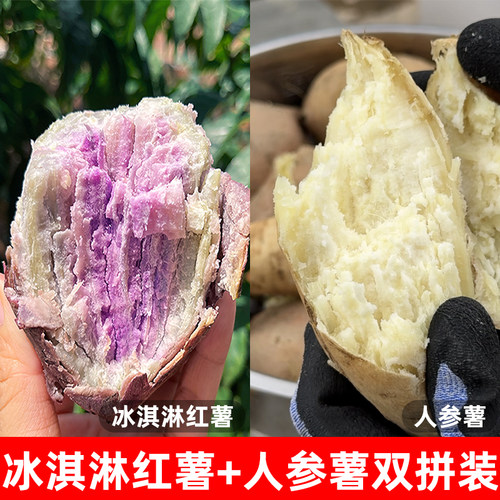 2026年新鲜现挖人参薯白心红薯