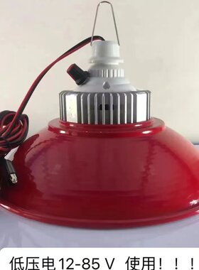 低压12vLED灯48V60V电瓶