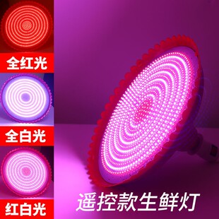 遥控调光调色生鲜灯猪肉灯熟食灯卖肉摊超市熟食店专用水果灯吊灯