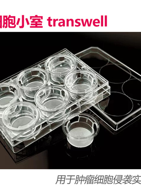 Corning康宁6孔12孔24孔细胞小室 transwell 0.4/5/8um嵌套 3422