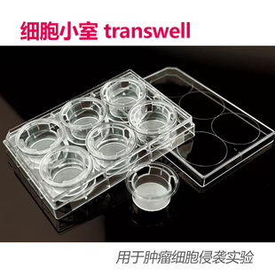 Corning康宁6孔12孔24孔细胞小室 transwell 0.4/5/8um嵌套 3422