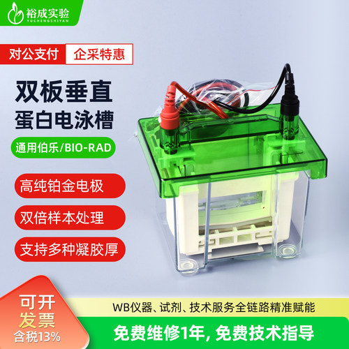 小型垂直电泳槽  通用Bio-Rad伯乐Mini-PROTEAN 3 蛋白槽 含制胶