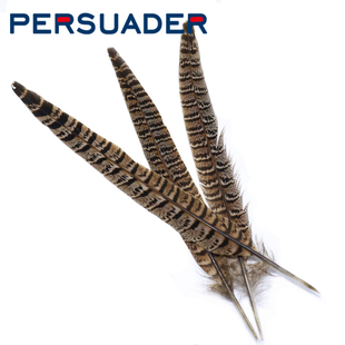 飞钓毛钩飞蝇钩绑制材料 天然斑纹母山鸡尾羽 湿蝇钩绑制翅膀羽毛