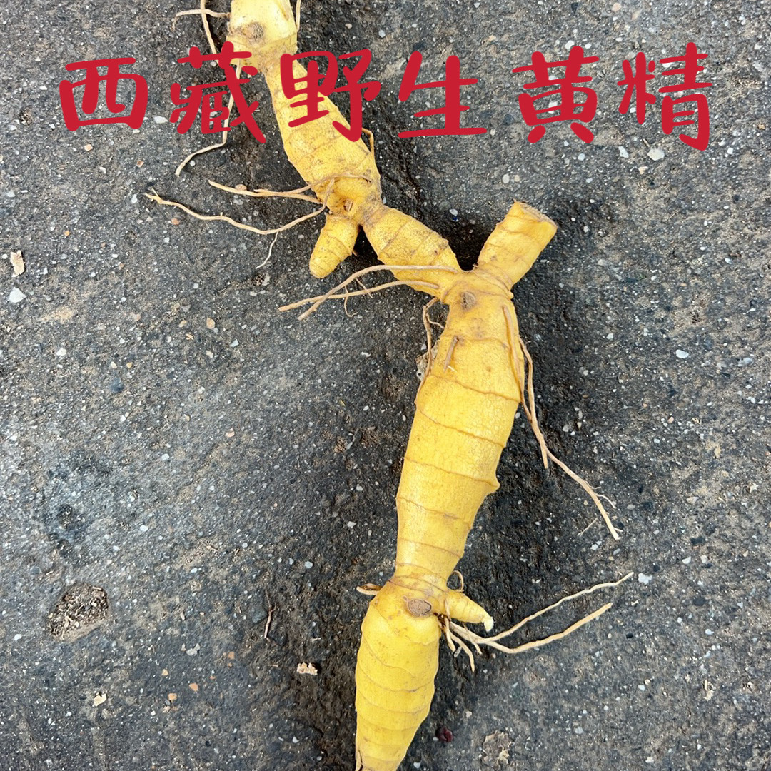 西藏林芝海拔3300米野生黄精6-30年新鲜甜黄精煲汤可直接水煮泡酒