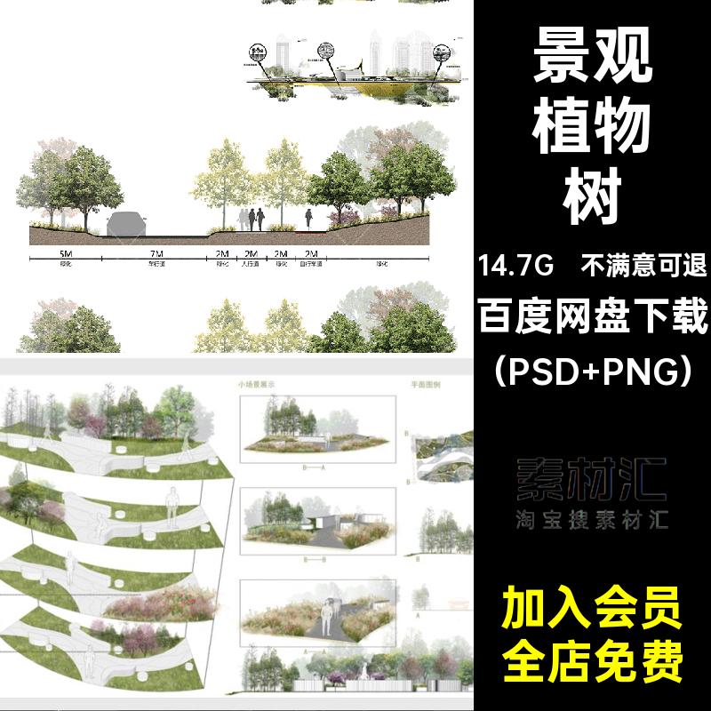 公园绿化景观素材psd剖面图滨树分层立面图库调清新植物小灰水