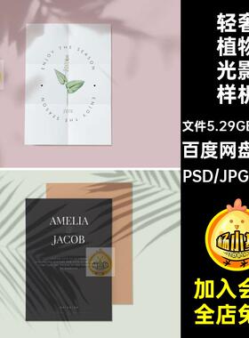 41款树叶植物光影样机扣轻图片花卉免PSDPNG阴影奢影子元素背景