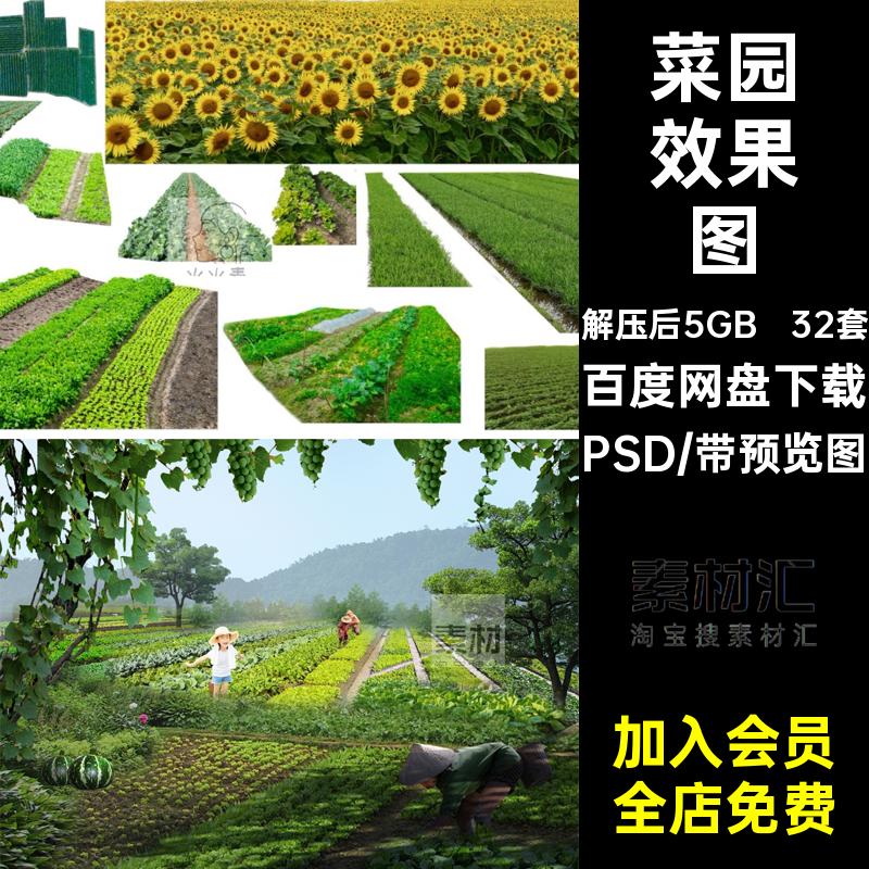 蔬菜农作物素材农田免效果图美丽psd乡村植物景观菜地抠菜园景观
