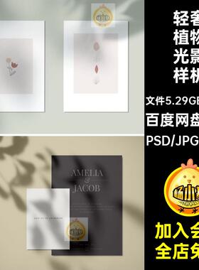 轻奢植物光影样机元素PNG图片41款PSD扣阴影花卉树叶免背景影子