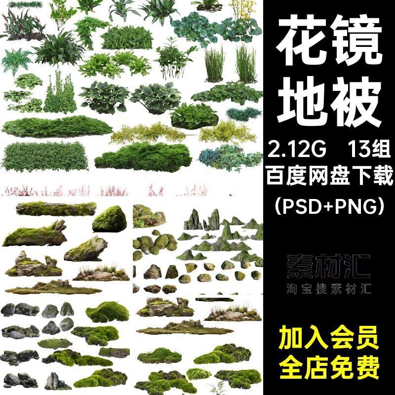 13组耐阴植物PS素材免蕨类石头psd地被矾阳装室源文件根扣苔藓