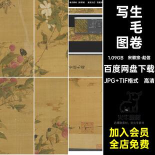 写生翎毛图卷 宋徽宗 赵佶 国画绘画高清电子素材印刷微喷绘图片