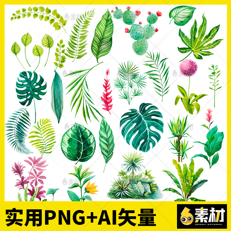 绿叶树叶子水彩手绘热带植物仙人掌龟背竹png免抠ai矢量图片素材