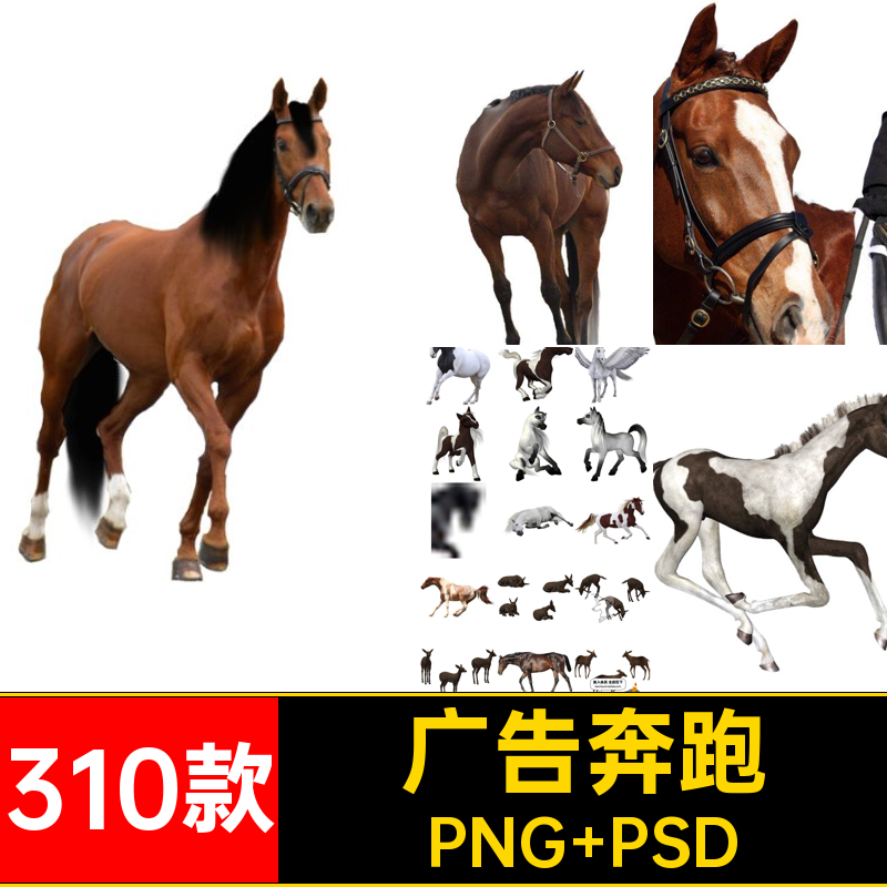 飞马奔跑PNG PSD310款站立广告免骏马宣传海报高清抠素材草原图片