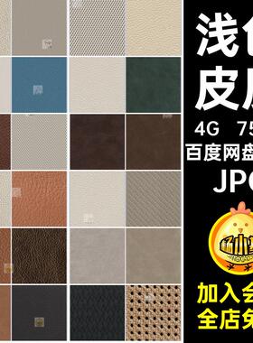 皮革花纹纹理5750款浅色无缝白色现代高清贴图JPG棕色素材皮质