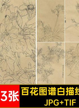 百花图谱白描线稿·JPG TIF植.G花卉103张图集高清幅tif格式国画