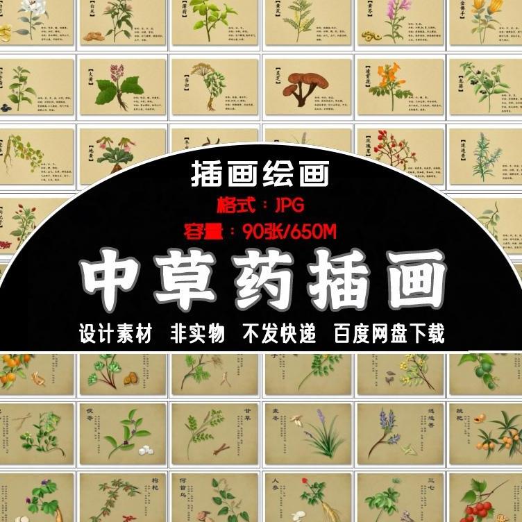 手绘古代中医中草药插画 草本植物养生药材图案绘画插图设计素材