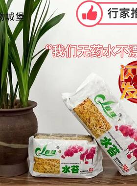 优质干水苔蝴蝶兰专用青苔兰花石斛猪笼草土苔藓鱼缸乌龟垫料花盆