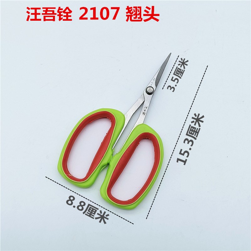 汪吾铨不锈钢翘头葡萄剪园林果树枝园艺修枝剪花艺花摘果剪刀阳光图片