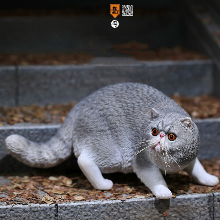 加菲猫摆件宠物猫猫模型短毛猫