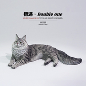 现货 猎迹 6银虎缅因猫仿真猫咪模型手办摆件玩偶树脂雕像公仔