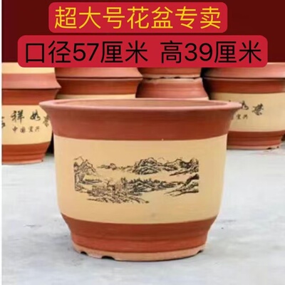 陶瓷花盆室内室外种花种树