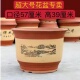 花盆陶瓷清仓盆栽特价 处理大号口径陶土大花盆绿植家用陶瓷花盆