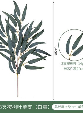 新品单支3叉桉树叶柳叶把束 婚庆家居摄影道具金钱叶真绿植