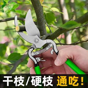 天琪锐双色柄果枝剪园林花艺修剪树枝果树剪刀粗大花剪园艺剪工具