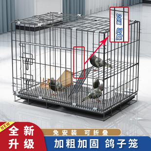 鸽子笼家用大号特大铁丝网养殖笼大型鸟笼小鸡笼子鸭笼专用笼鸽舍