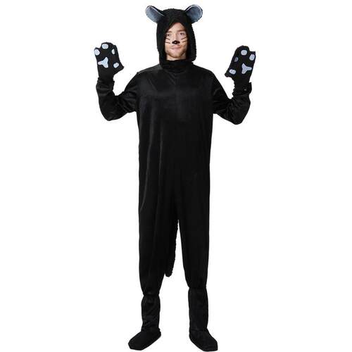 Halloweencostumeblackcatcouple