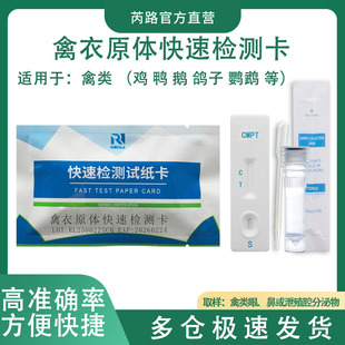 芮路禽类疫病检测卡鸟鸽子鹦鹉专用衣原体检测试纸卡厂家直销包邮