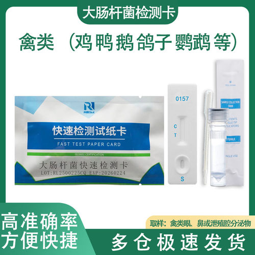 芮路鸟禽类鸽子鹦鹉大肠杆菌快速检测试纸卡方便快捷厂家直发包邮
