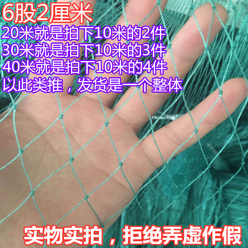 果园防鸟围栏网葡萄园樱桃树果树网鱼塘防护网户外养殖网天网