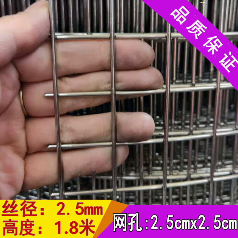 304不锈钢筛网焊接网格网钢丝网片钢丝网养殖围栏网不锈钢养殖网