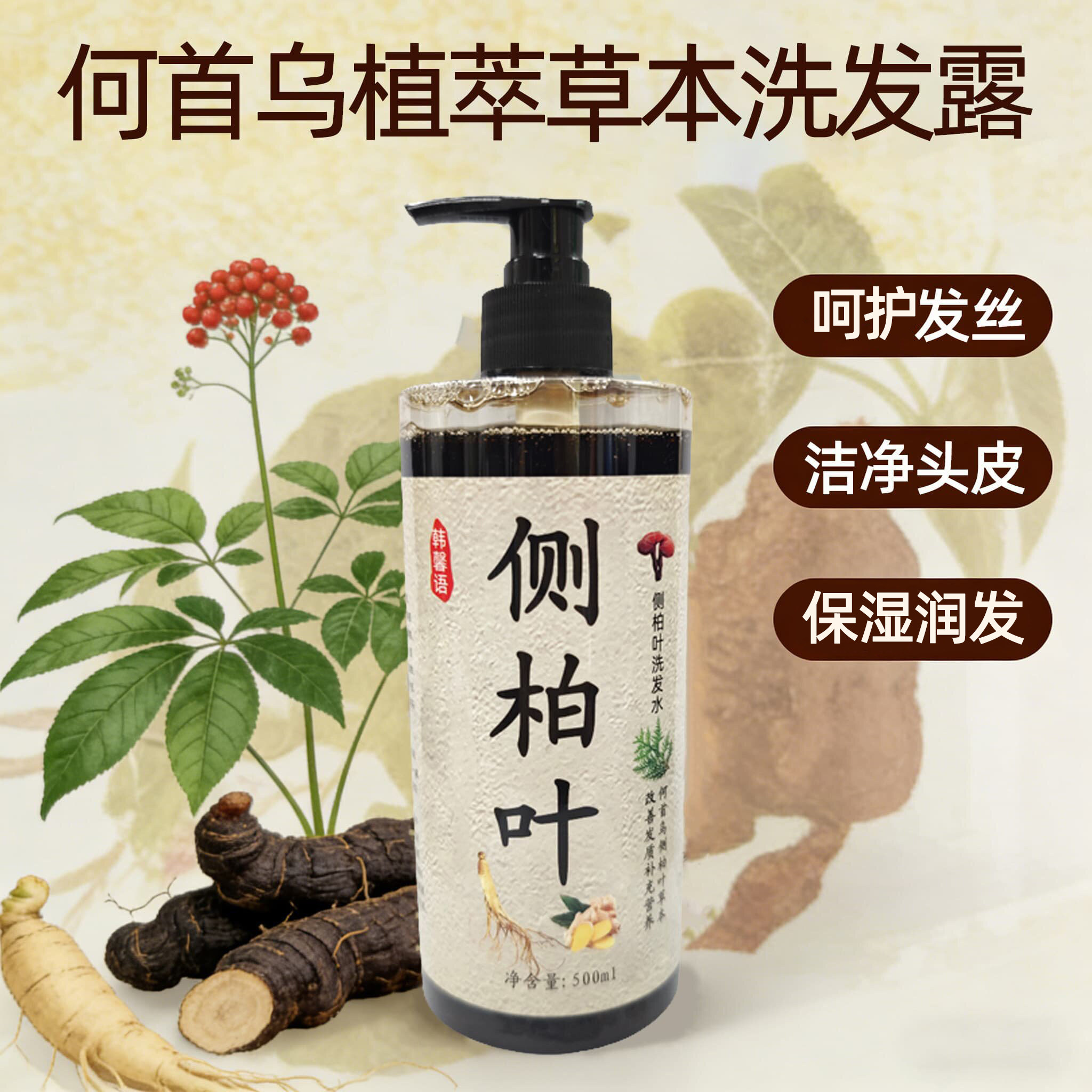 韩馨语侧柏叶人参生姜控油洗发水