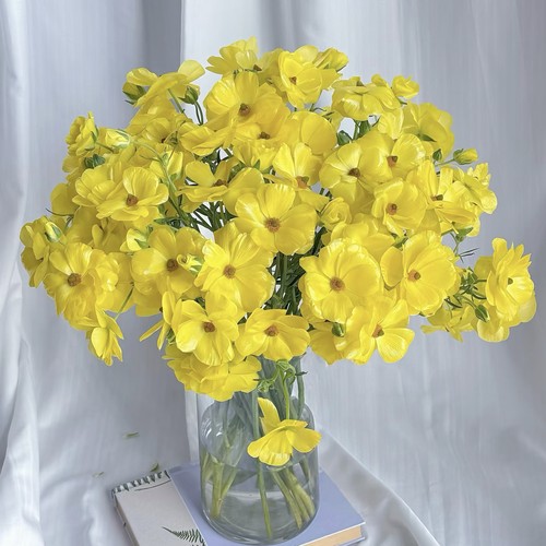 高品质蝴蝶洋牡丹日常插瓶