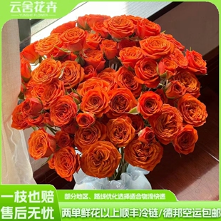 【直播秒杀福利】橙色芭比多头玫瑰 组合两单或以上冷链包邮