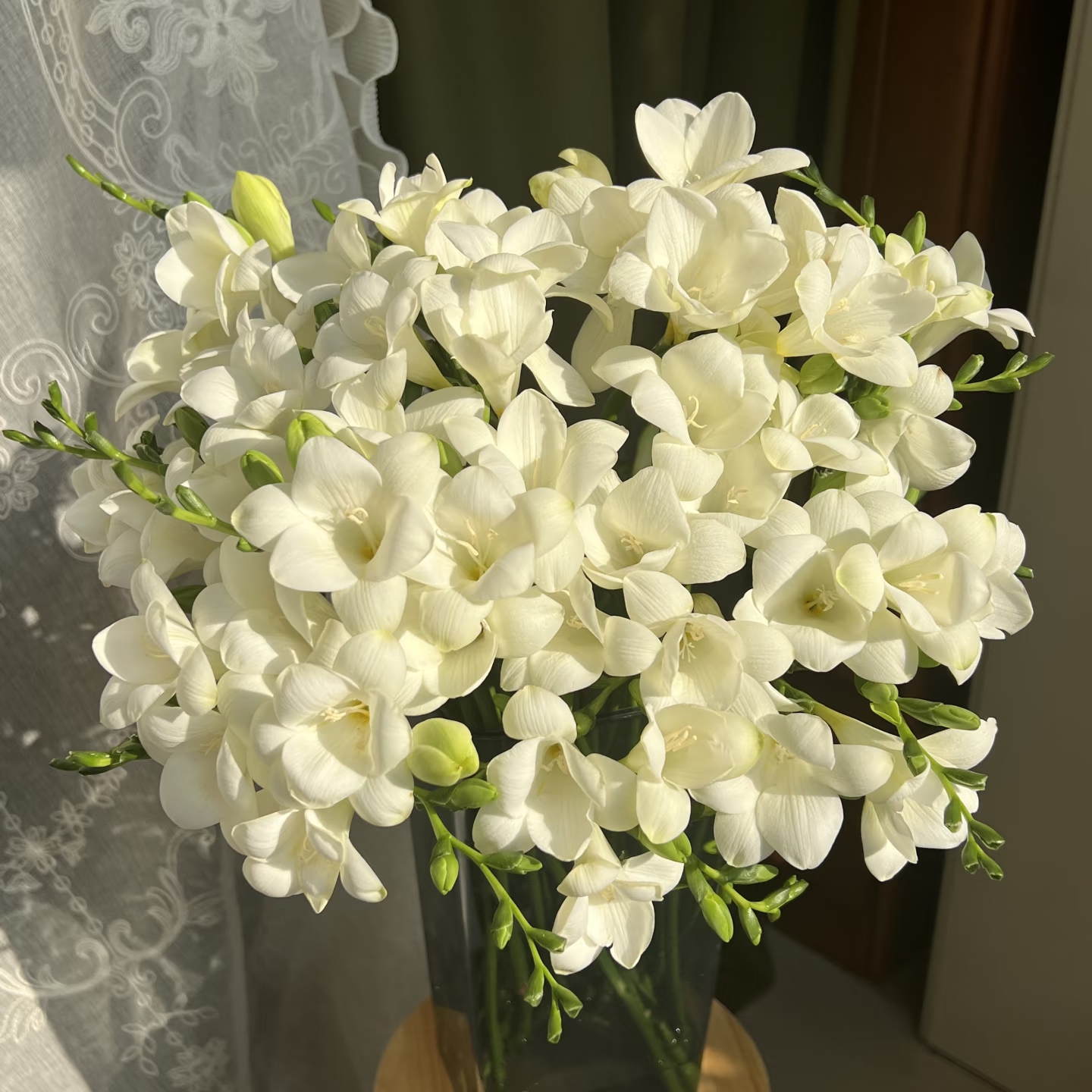 稀有新品【极地河香雪兰】 任意组合两单或以上冷链包邮