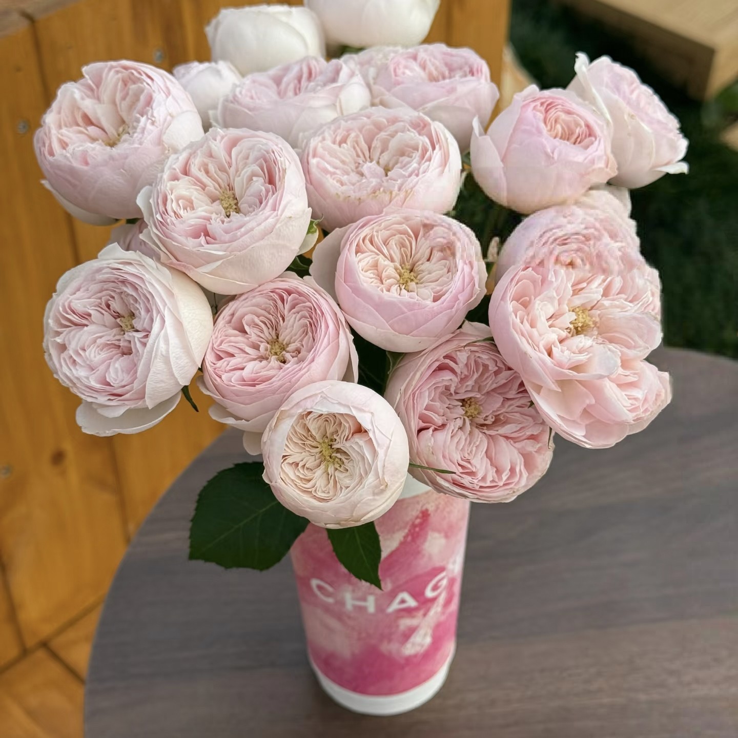 酷皮多头玫瑰日常插瓶高品质