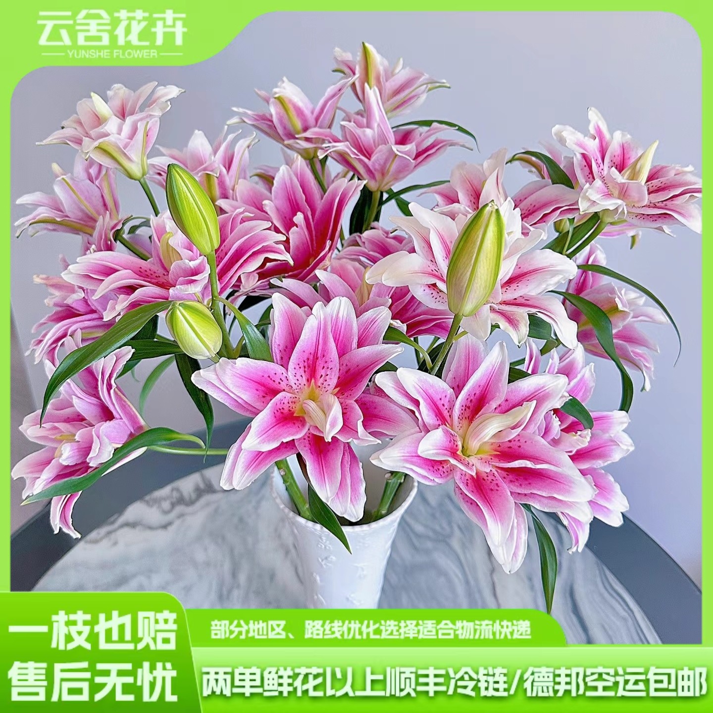 【云舍精选】西亚拉重瓣百合  任意组合2单或以上冷链包邮,鲜花速递/花卉仿真/绿植园艺,花材,淘宝优惠券,粉丝福利购,淘宝优惠卷