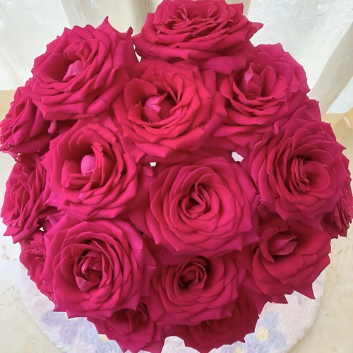 【艳而不俗，高贵浪漫，高级色感】镇店之宝 A级弗洛伊德单头玫瑰