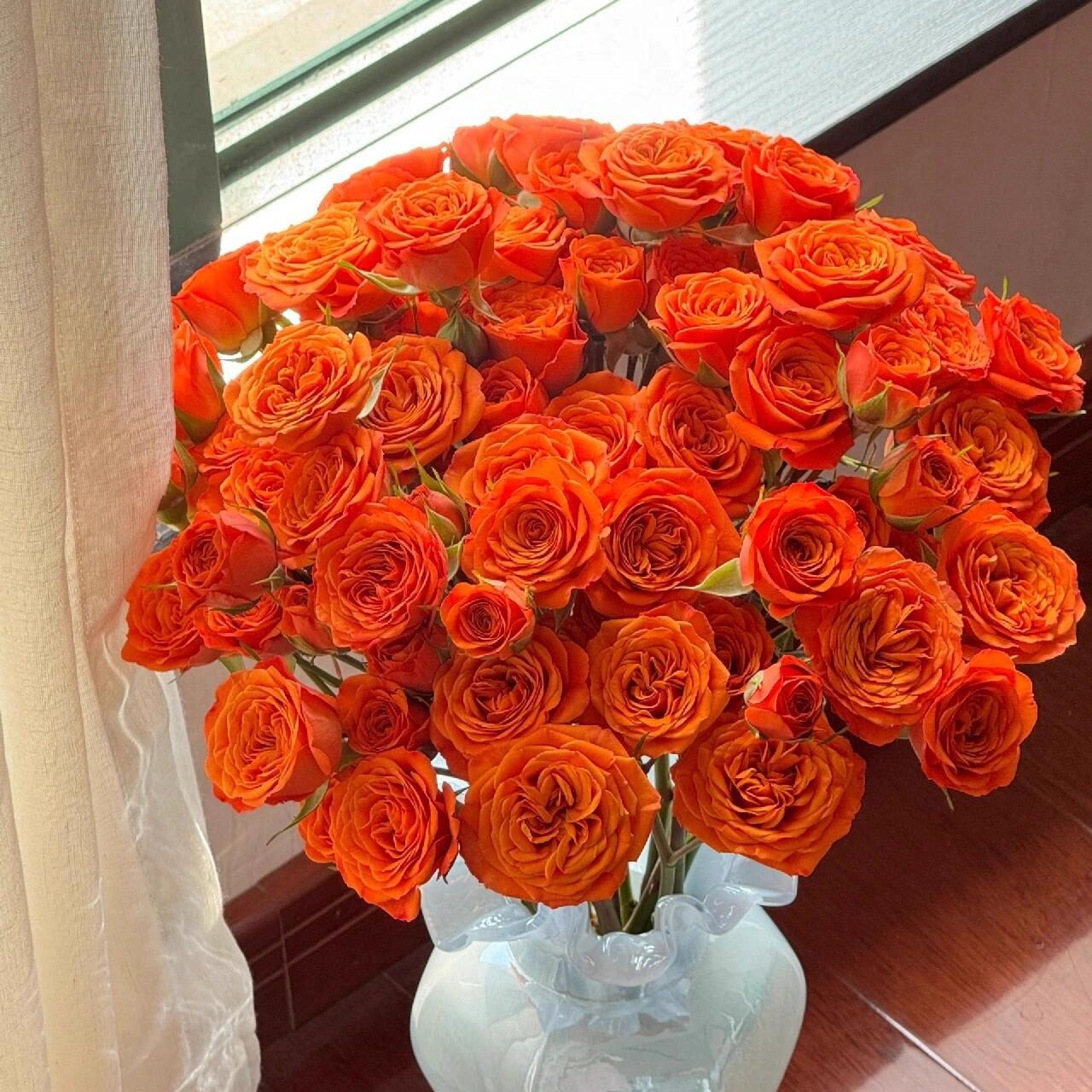 【云舍镇店之宝】A级橙色芭比多头玫瑰 组合两单或以上冷链包邮,鲜花速递/花卉仿真/绿植园艺,花材,淘宝优惠券,粉丝福利购,淘宝优惠卷