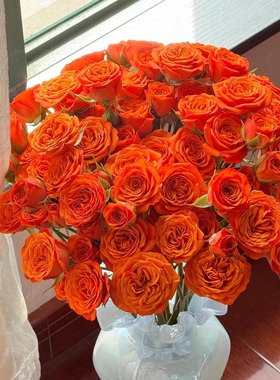 【云舍镇店之宝】A级橙色芭比多头玫瑰 组合两单或以上冷链包邮
